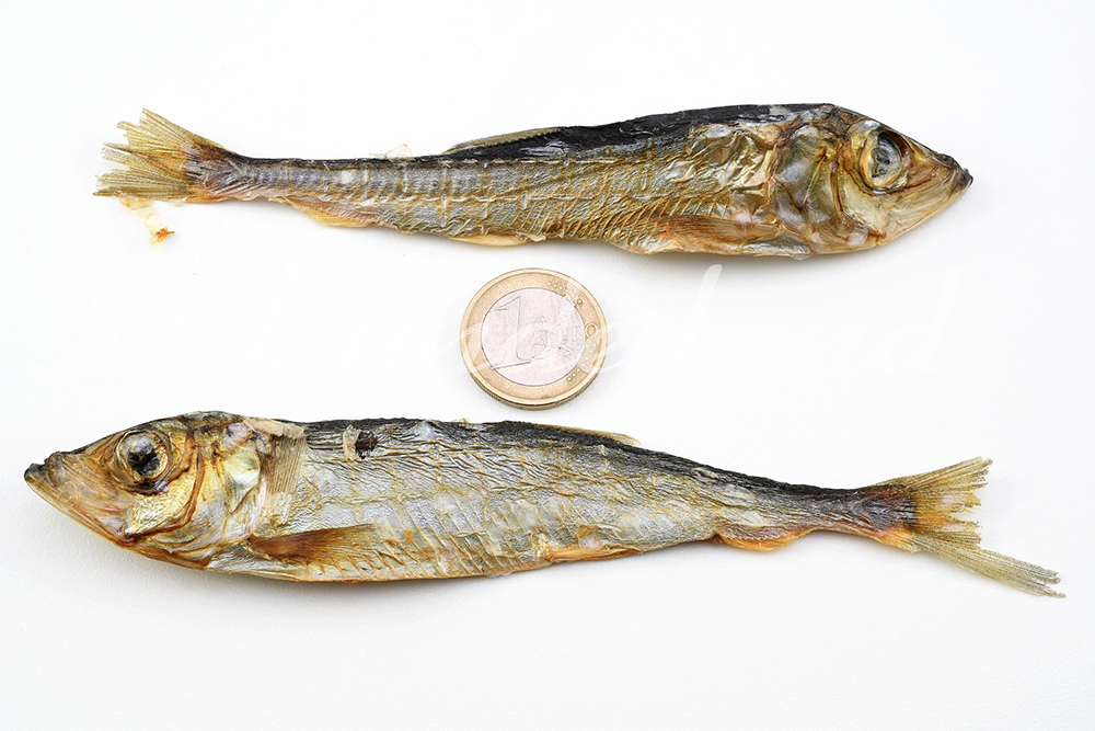 LUNDERLAND_11-104-200_200g_TROCKENFISCH_Hundefutter_Mallotus-villosus_www.bayerwald-jagdcenter.de_0.jpg