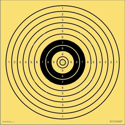 71302_BDS-No9_Kurzwaffen25m-MD_55x55cm_geschlitzt.jpg